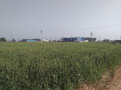 10 Acre Industrial Land / Plot for Sale in NH 1, Rajpura