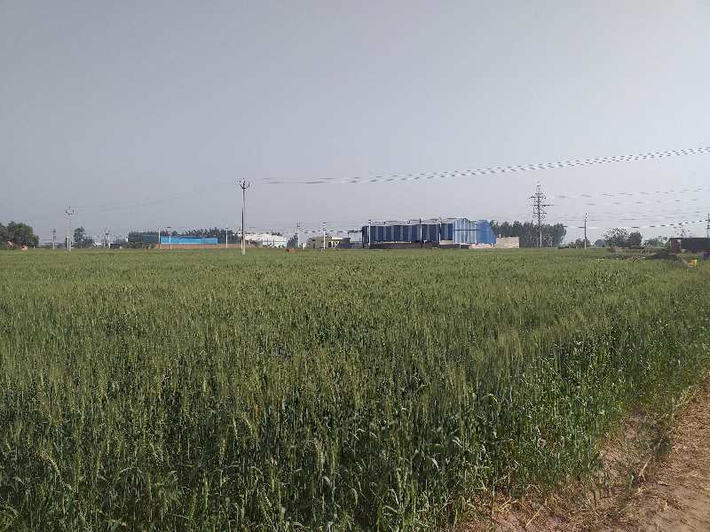 10 Acre Industrial Land / Plot for Sale in NH 1, Rajpura