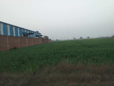 18 Bigha Industrial Land / Plot for Sale in Shambhoo Khurd, Rajpura