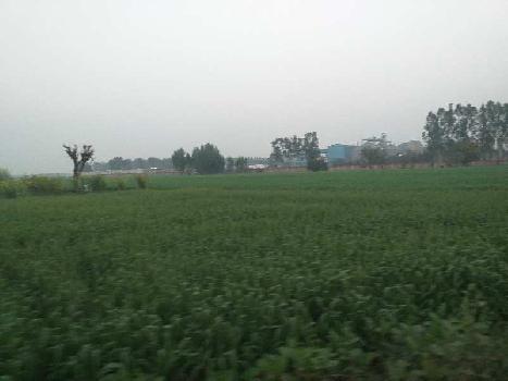 Property for sale in Nilpur, Rajpura