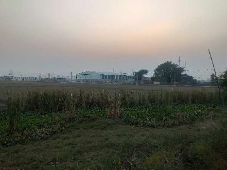 15 Bigha Warehouse/Godown for Sale in NH 1, Rajpura