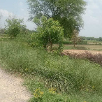 Property for sale in Akbarpur, Kanpur Dehat