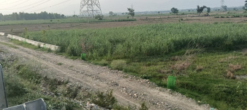 Old and new shimla bye pass highway touch land for sale