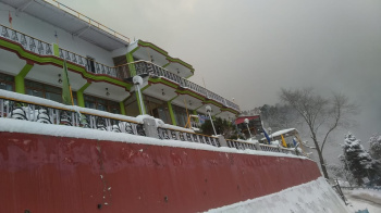 Business Center for Sale in Vikas Nagar, Dehradun (10 Bigha)