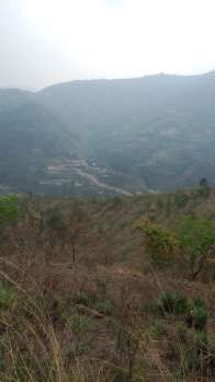 Residential Plot for Sale in Narendra, Tehri Garhwal (130 Cent)
