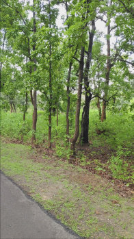 Property for sale in Bandhavgarh National Park, Umaria