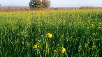 Property for sale in Bandhavgarh National Park, Umaria