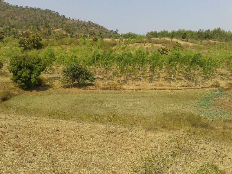 Agriculture Land For Sale In Rajendragram , Anuppur , Madhya Pradesh