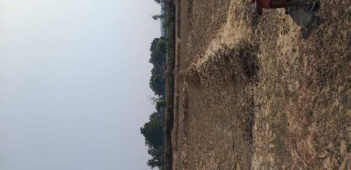 Agricultural/Farm Land for Sale in Birsinghpur, Umaria (25 Acre)