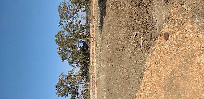 Residential Plot for Sale in Umaria (5 Acre)