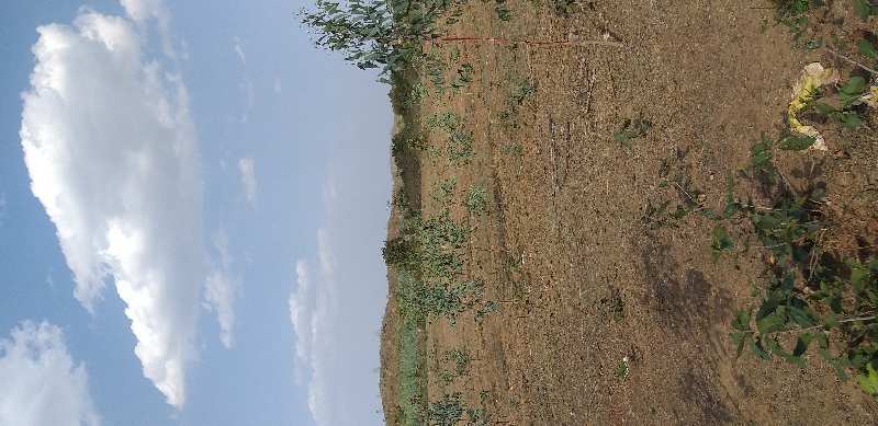 Agricultural/Farm Land for Sale in Madhya Pradesh (50 Acre)