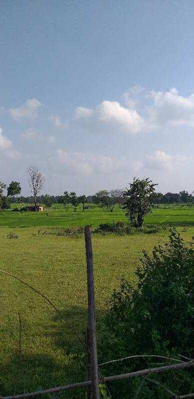 42 Acre Agricultural/Farm Land for Sale in Beohari, Shahdol