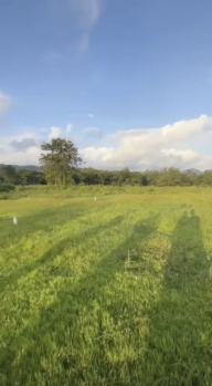 Residential Plot for Sale in Dodamarg, Sindhudurg (225 Sq. Meter)