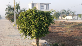 Property for sale in Rohta Road, Meerut