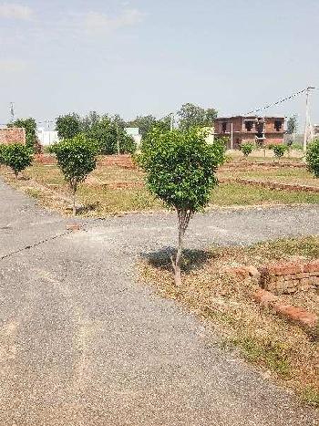 Freehold plots available for sale at Rohta Road