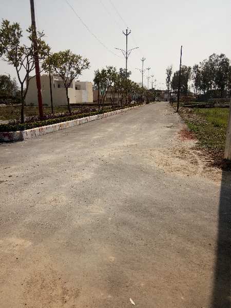 Residential Plot for Sale in Rohta Road, Meerut (174 Sq. Yards)