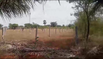 Property for sale in Alangulam, Tirunelveli