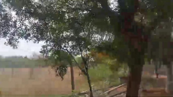 Property for sale in Alangulam, Tirunelveli