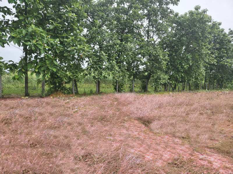 Very Prime Industrial Land for Sale in Chithoor Natham, Gummidipoondi