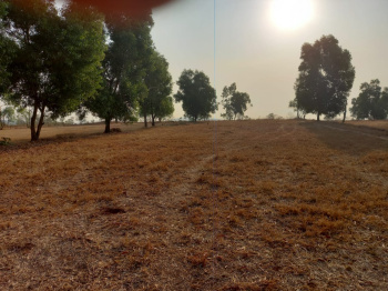 623 Acre Agricultural/Farm Land for Sale in Radhanagari, Kolhapur