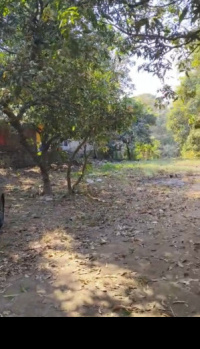 300 Acre Agricultural/Farm Land for Sale in Chikhale, Navi Mumbai