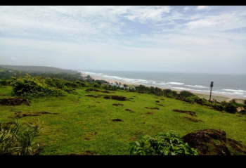 2250000 Sq. Meter Agricultural/Farm Land for Sale in Mandrem, North Goa, Goa