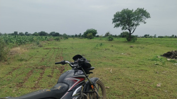 Agricultural/Farm Land for Sale in Panvel, Raigad (100 Acre)