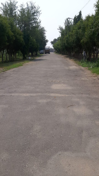 Residential Plot for Sale in Marve Road, Mumbai (950 Acre)