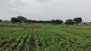843 Acre Agricultural/Farm Land for Sale in Tarikere, Chikmagalur