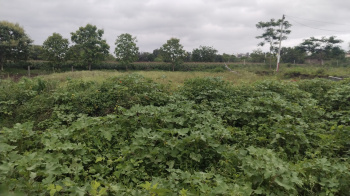 Commercial Lands /Inst. Land for Sale in Chincholi, Solapur (100 Acre)