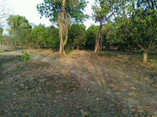 Bungalow with Agriculture Plot for sale at Thane.