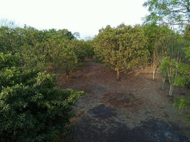 Bungalow with Agriculture Plot for sale at Thane.