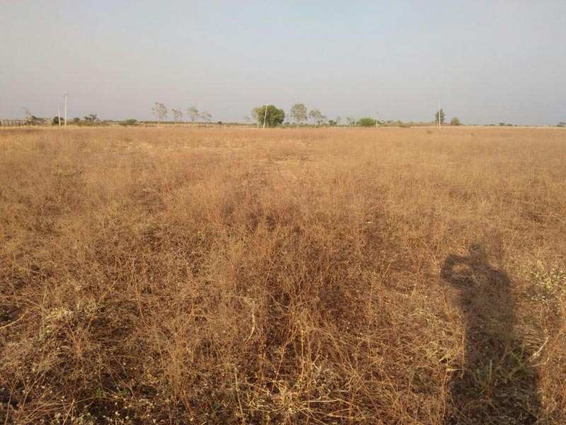 Commercial Land For Sale In Yavatmal