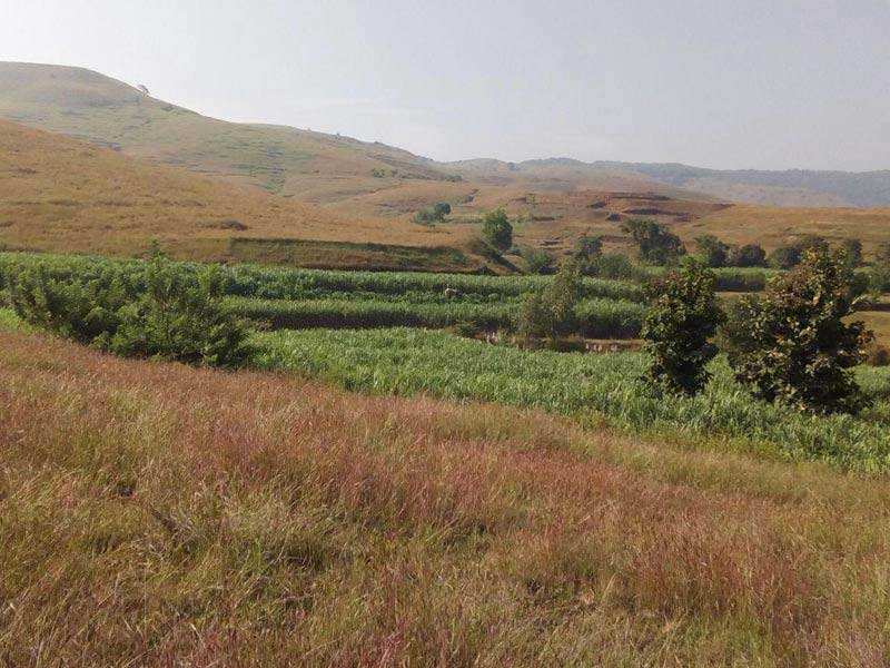 Agricultural Land for Sale in Shahuwadi, Kolhapur