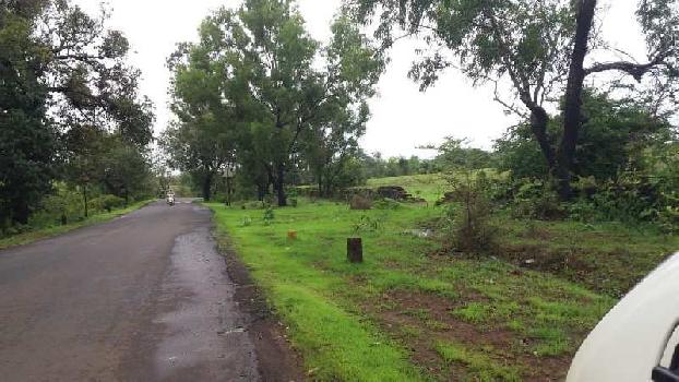 Farm Land For Sale In Kuvale Village , Devgad, Sindhudurg