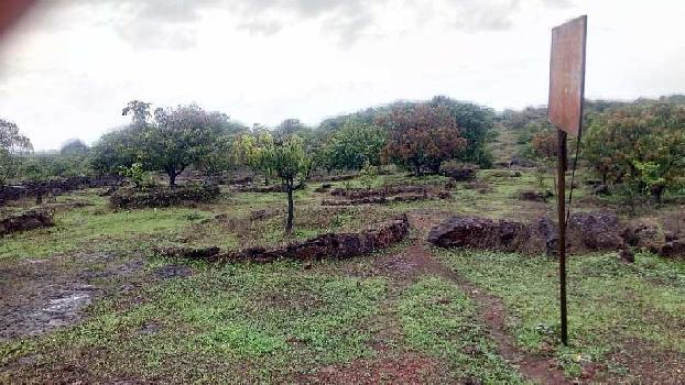 Property for sale in Devgad, Sindhudurg