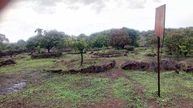 Farm Land For Sale In Mahalunge, Devgad