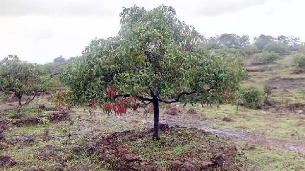 Property for sale in Devgad, Sindhudurg