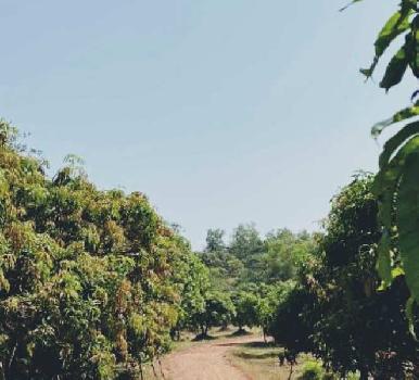 Property for sale in Ganpatipule, Ratnagiri