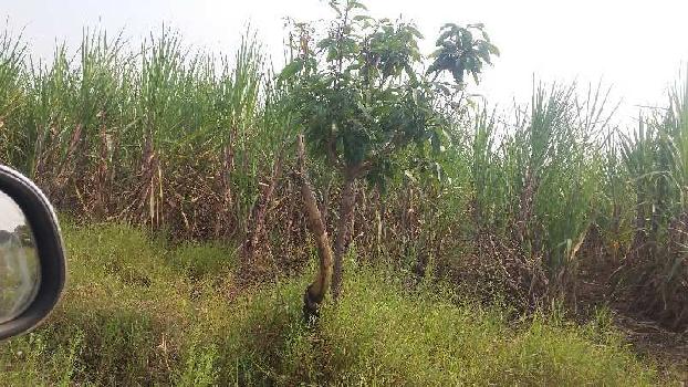Property for sale in Akluj, Solapur