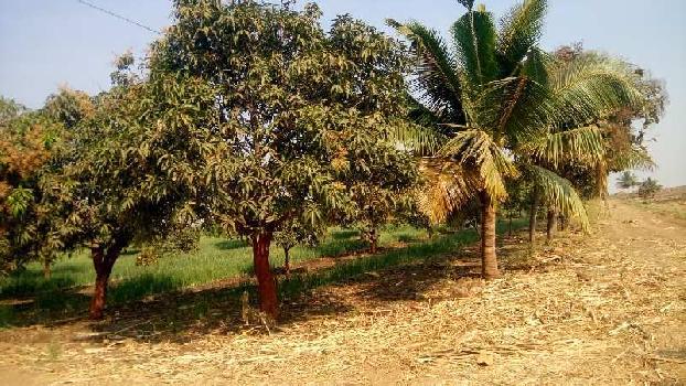 102 Acre Agricultural/Farm Land for Sale in Pandharpur, Solapur