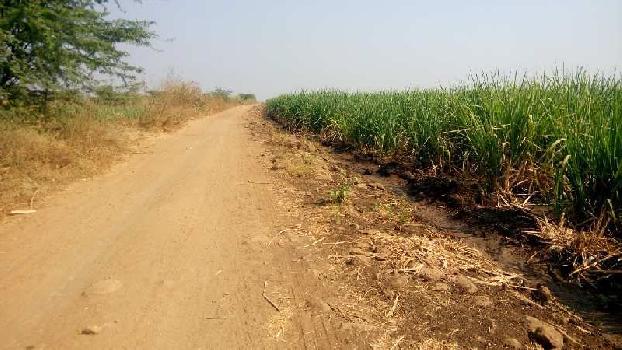 Property for sale in Pandharpur, Solapur