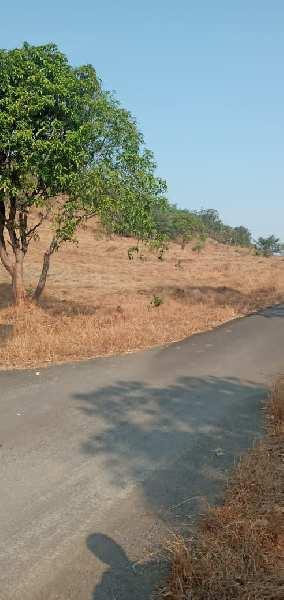 400 Acre Agricultural/Farm Land for Sale in Dapoli, Ratnagiri