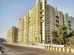 1 BHK Flats & Apartments for Rent in Sector 36, Navi Mumbai (275 Sq.ft.)