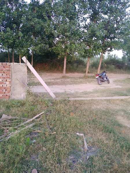 Commercial Plot For Sale In Bhopatwala Haridwar