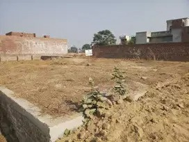 500 Sq. Yards Residential Plot for Sale in Model Town Phase II, Bathinda