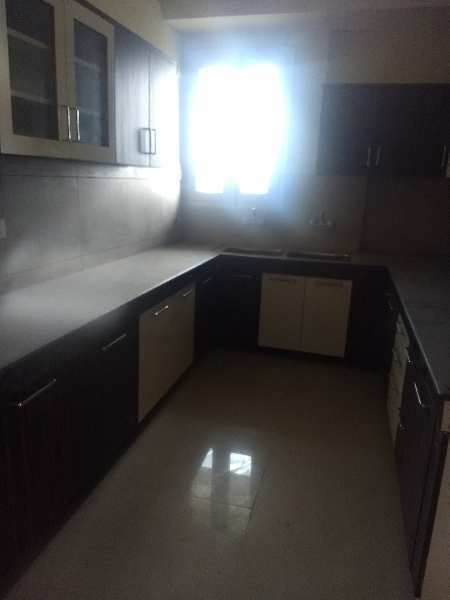 2 BHK Flats & Apartments for Sale in Sector 125, Mohali (950 Sq.ft.)
