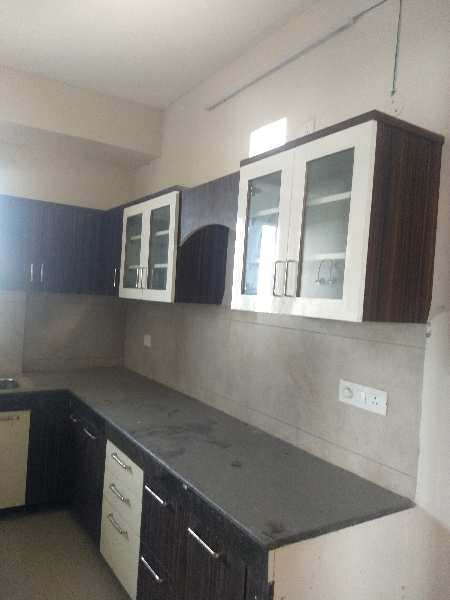 3 BHK Flats & Apartments for Rent in Sector 125, Mohali (1500 Sq.ft.)