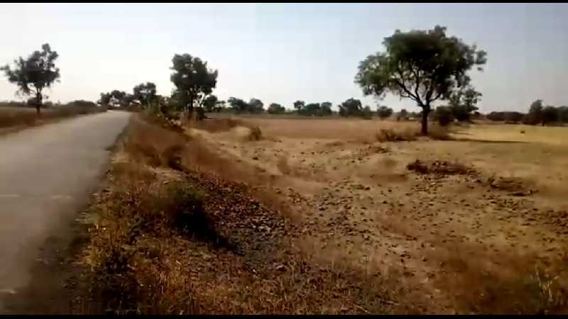 Agricultural/Farm Land for Sale in Dharangaon, Jalgaon (150 Acre)
