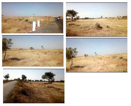 Agricultural/Farm Land For Sale In Dharangaon, Jalgaon (150 Acre)